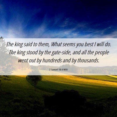 Picture 06 - 2 Samuel 18:4 WEB - The king said to them, What seems you best I will - Bible Verse Picture