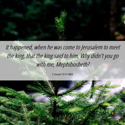 Picture 06 - 2 Samuel 19:25 WEB - It happened, when he was come to Jerusalem to - Bible Verse Picture