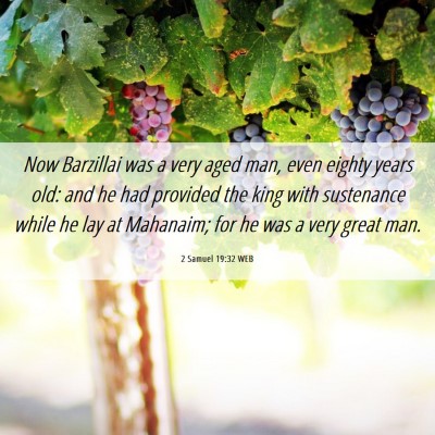 Picture 06 - 2 Samuel 19:32 WEB - Now Barzillai was a very aged man, even eighty - Bible Verse Picture