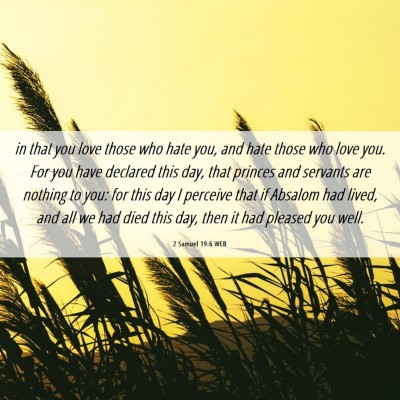 Picture 06 - 2 Samuel 19:6 WEB - in that you love those who hate you, and hate - Bible Verse Picture