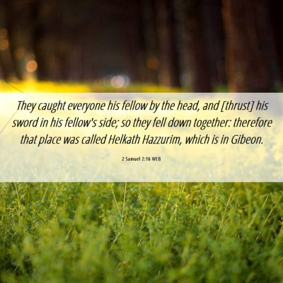 Picture 06 - 2 Samuel 2:16 WEB - They caught everyone his fellow by the head, and - Bible Verse Picture