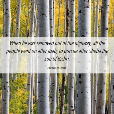 Picture 06 - 2 Samuel 20:13 WEB - When he was removed out of the highway, all the - Bible Verse Picture