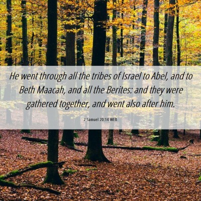 Picture 06 - 2 Samuel 20:14 WEB - He went through all the tribes of Israel to Abel, - Bible Verse Picture