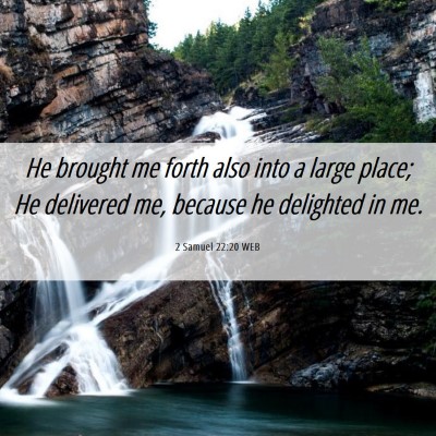 Picture 06 - 2 Samuel 22:20 WEB - He brought me forth also into a large place; He - Bible Verse Picture