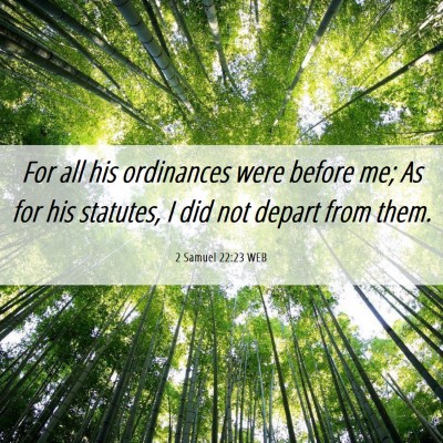Picture 06 - 2 Samuel 22:23 WEB - For all his ordinances were before me; As for his - Bible Verse Picture