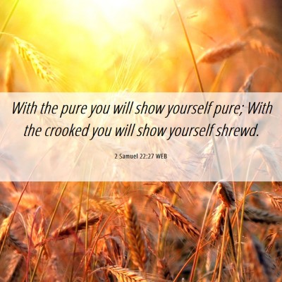 Picture 06 - 2 Samuel 22:27 WEB - With the pure you will show yourself pure; With - Bible Verse Picture