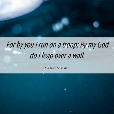 Picture 06 - 2 Samuel 22:30 WEB - For by you I run on a troop; By my God do I leap - Bible Verse Picture