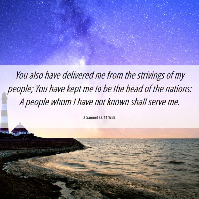 Picture 06 - 2 Samuel 22:44 WEB - You also have delivered me from the strivings of - Bible Verse Picture