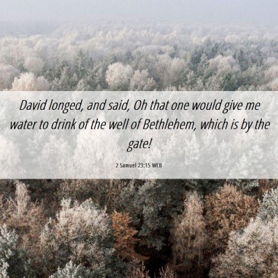 Picture 06 - 2 Samuel 23:15 WEB - David longed, and said, Oh that one would give me - Bible Verse Picture