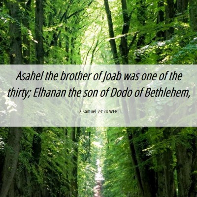 Picture 06 - 2 Samuel 23:24 WEB - Asahel the brother of Joab was one of the thirty; - Bible Verse Picture