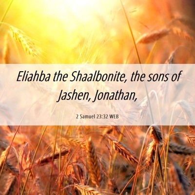 Picture 06 - 2 Samuel 23:32 WEB - Eliahba the Shaalbonite, the sons of Jashen, - Bible Verse Picture