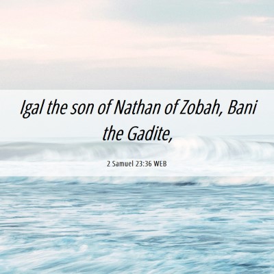 Picture 06 - 2 Samuel 23:36 WEB - Igal the son of Nathan of Zobah, Bani the - Bible Verse Picture