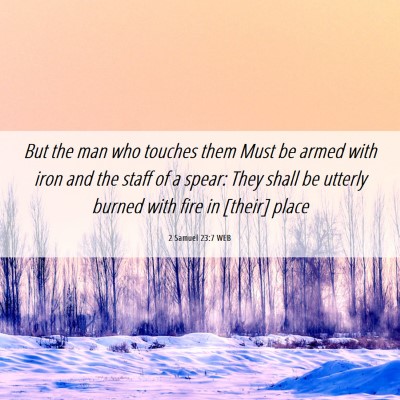 Picture 06 - 2 Samuel 23:7 WEB - But the man who touches them Must be armed with - Bible Verse Picture
