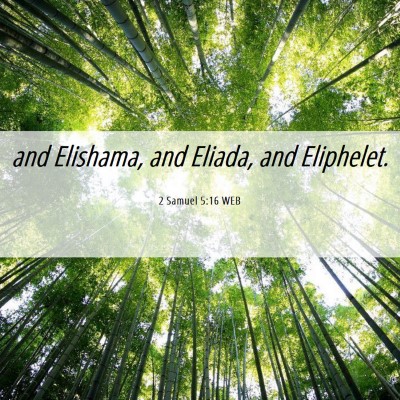 Picture 06 - 2 Samuel 5:16 WEB - and Elishama, and Eliada, and - Bible Verse Picture