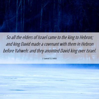 Picture 06 - 2 Samuel 5:3 WEB - So all the elders of Israel came to the king to - Bible Verse Picture