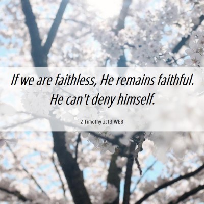 Picture 06 - 2 Timothy 2:13 WEB - If we are faithless, He remains faithful. He - Bible Verse Picture