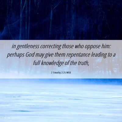 Picture 06 - 2 Timothy 2:25 WEB - in gentleness correcting those who oppose him: - Bible Verse Picture