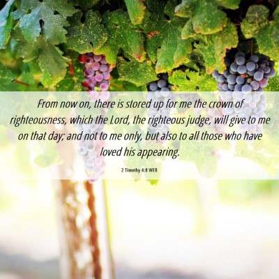 Picture 06 - 2 Timothy 4:8 WEB - From now on, there is stored up for me the crown - Bible Verse Picture