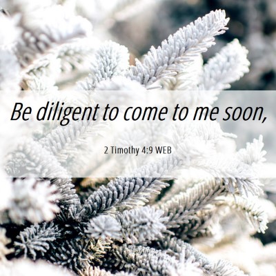 Picture 06 - 2 Timothy 4:9 WEB - Be diligent to come to me - Bible Verse Picture
