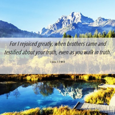Picture 06 - 3 John 1:3 WEB - For I rejoiced greatly, when brothers came and - Bible Verse Picture