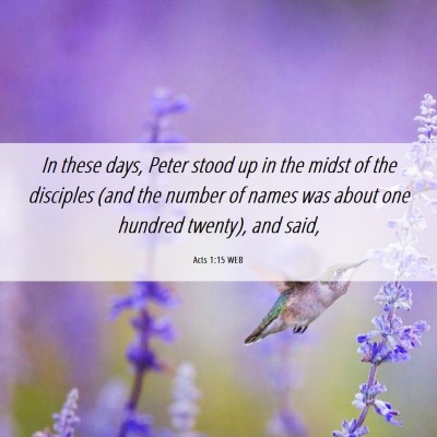 Picture 06 - Acts 1:15 WEB - In these days, Peter stood up in the midst of the - Bible Verse Picture