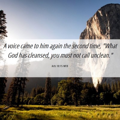 Picture 06 - Acts 10:15 WEB - A voice came to him again the second time, 