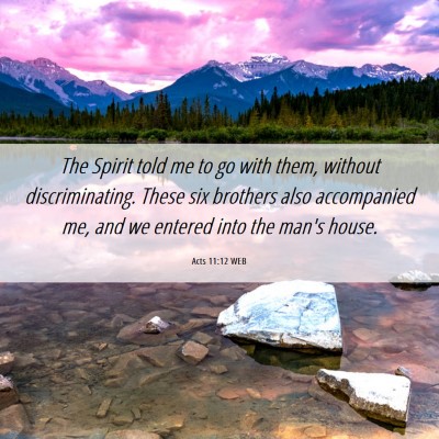 Picture 06 - Acts 11:12 WEB - The Spirit told me to go with them, without - Bible Verse Picture