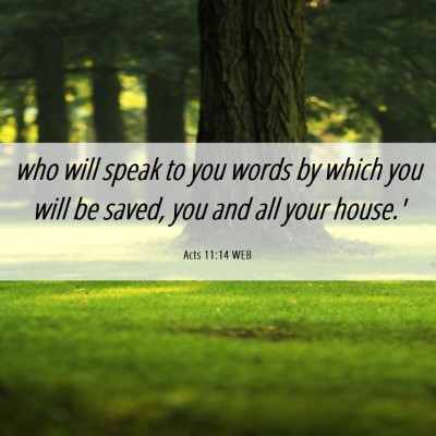 Picture 06 - Acts 11:14 WEB - who will speak to you words by which you will be - Bible Verse Picture