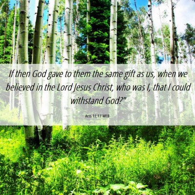 Picture 06 - Acts 11:17 WEB - If then God gave to them the same gift as us, - Bible Verse Picture