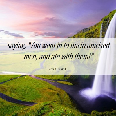 Picture 06 - Acts 11:3 WEB - saying, 