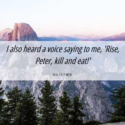 Picture 06 - Acts 11:7 WEB - I also heard a voice saying to me, 'Rise, Peter, - Bible Verse Picture