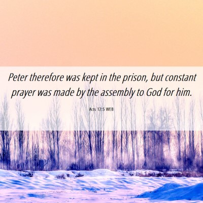 Picture 06 - Acts 12:5 WEB - Peter therefore was kept in the prison, but - Bible Verse Picture