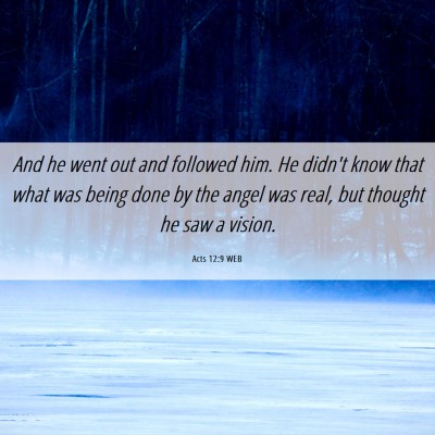 Picture 06 - Acts 12:9 WEB - And he went out and followed him. He didn't know - Bible Verse Picture