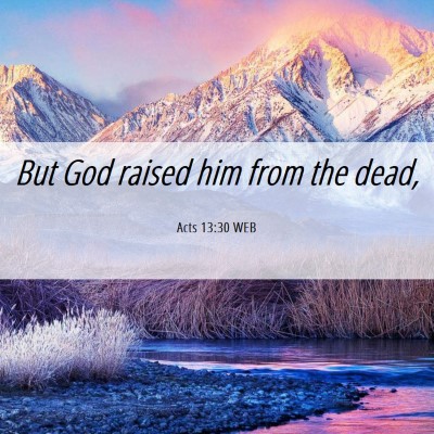 Picture 06 - Acts 13:30 WEB - But God raised him from the - Bible Verse Picture