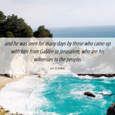Picture 06 - Acts 13:31 WEB - and he was seen for many days by those who came - Bible Verse Picture