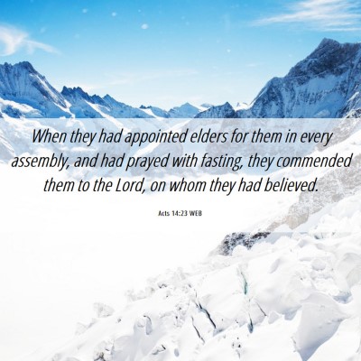 Picture 06 - Acts 14:23 WEB - When they had appointed elders for them in every - Bible Verse Picture