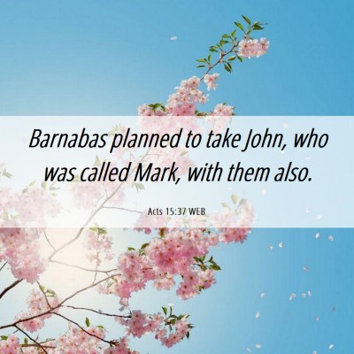 Picture 06 - Acts 15:37 WEB - Barnabas planned to take John, who was called - Bible Verse Picture