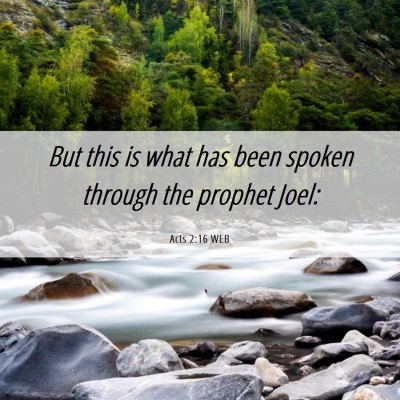 Picture 06 - Acts 2:16 WEB - But this is what has been spoken through the - Bible Verse Picture