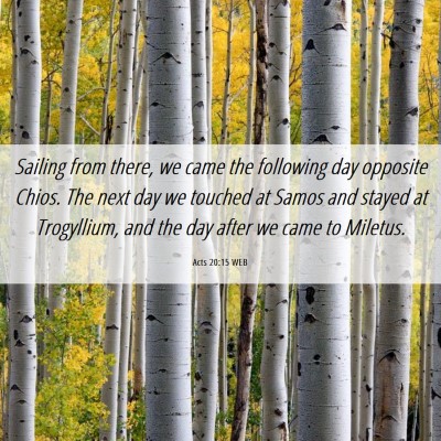 Picture 06 - Acts 20:15 WEB - Sailing from there, we came the following day - Bible Verse Picture