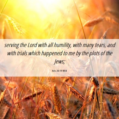 Picture 06 - Acts 20:19 WEB - serving the Lord with all humility, with many - Bible Verse Picture