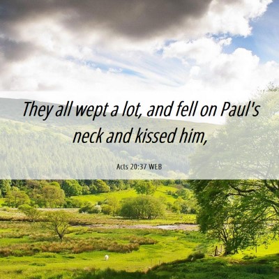 Picture 06 - Acts 20:37 WEB - They all wept a lot, and fell on Paul's neck and - Bible Verse Picture