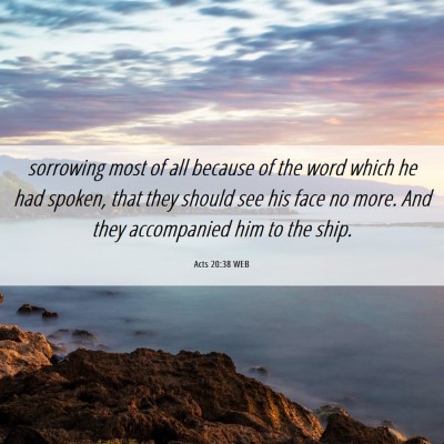 Picture 06 - Acts 20:38 WEB - sorrowing most of all because of the word which - Bible Verse Picture