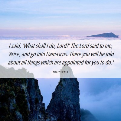 Picture 06 - Acts 22:10 WEB - I said, 'What shall I do, Lord?' The Lord said to - Bible Verse Picture