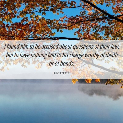 Picture 06 - Acts 23:29 WEB - I found him to be accused about questions of - Bible Verse Picture
