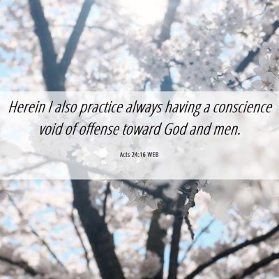 Picture 06 - Acts 24:16 WEB - Herein I also practice always having a conscience - Bible Verse Picture