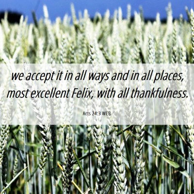 Picture 06 - Acts 24:3 WEB - we accept it in all ways and in all places, most - Bible Verse Picture
