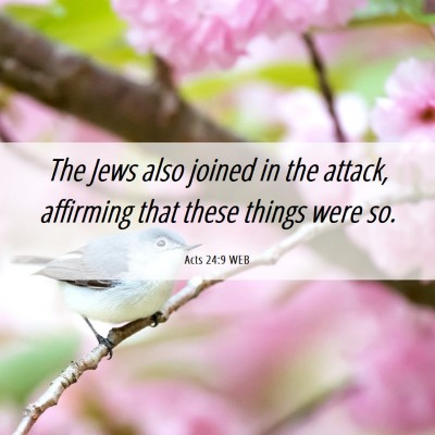 Picture 06 - Acts 24:9 WEB - The Jews also joined in the attack, affirming - Bible Verse Picture