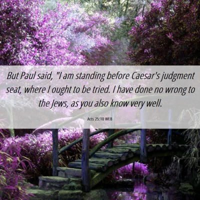 Picture 06 - Acts 25:10 WEB - But Paul said, 