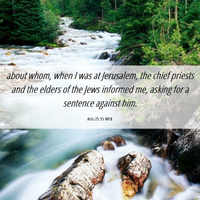 Picture 06 - Acts 25:15 WEB - about whom, when I was at Jerusalem, the chief - Bible Verse Picture