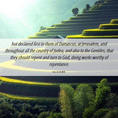 Picture 06 - Acts 26:20 WEB - but declared first to them of Damascus, at - Bible Verse Picture